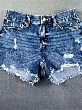 aerie Distressed Dark Blue Denim Jean Shorts